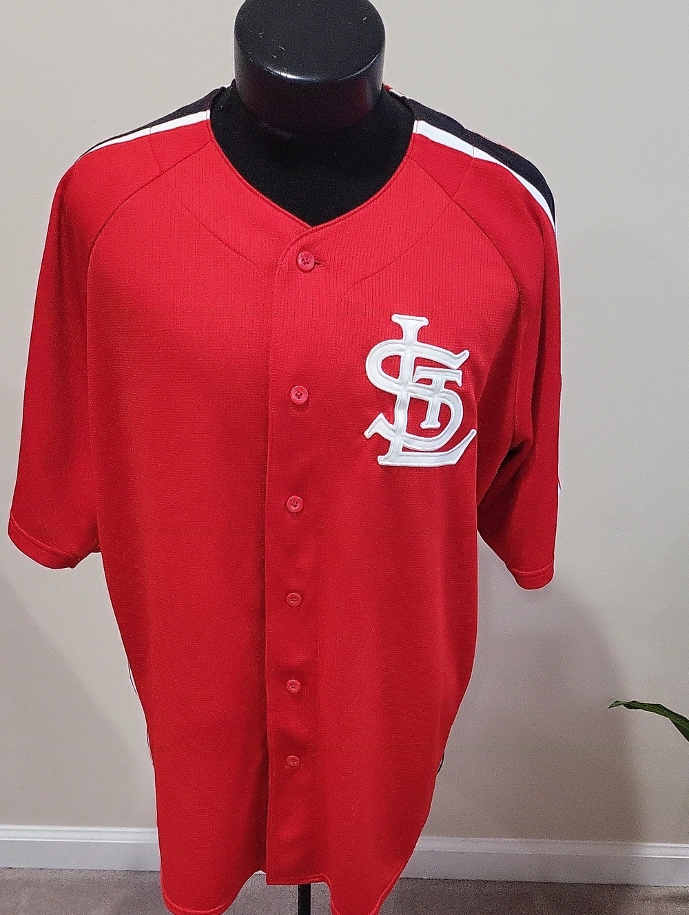 Collection B Red Men's Baseball Jersey , St.Louis Cardinals